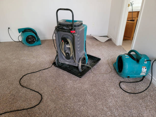 Best Odor Removal and Sanitization After Water Damage in University Park, NM